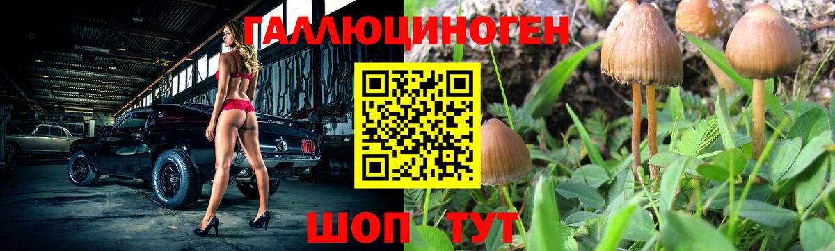 Орехово-Зуево  Галлюциногенные грибы мицелий  Галлюциногенные грибы Psilocybe  Вход с VPN 
